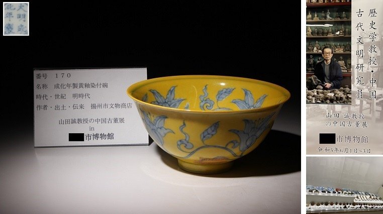 博物館展示品 来歴有 170 明時代 成化年製黄釉染付碗 径約15.5cm (検)黄釉茶碗 碗 唐物 中国美術 古玩 の画像1