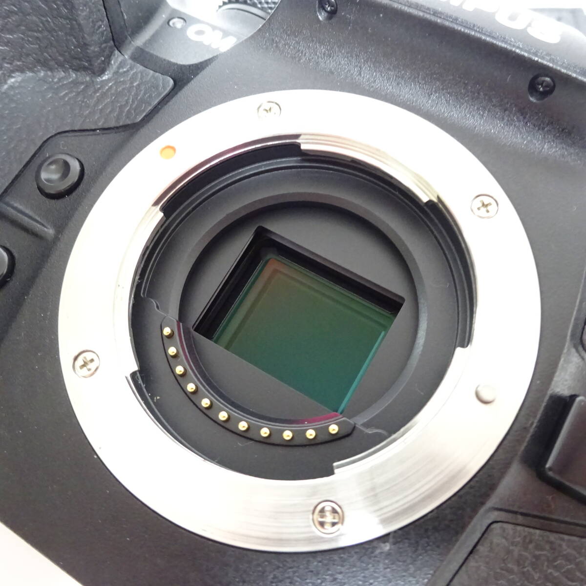 OLYMPUS OM-1 デジタル一眼カメラ アクセサリーおまとめセット 箱付き 通電確認済 80サイズ発送 K-2654902-170mrrzの画像3