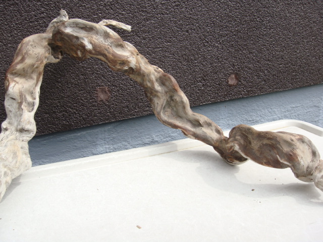  driftwood C87_47 centimeter 38 centimeter 12 centimeter 