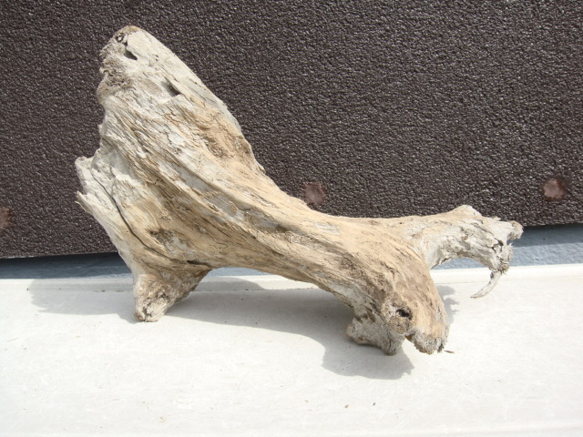  driftwood C96_39 centimeter 26 centimeter 21 centimeter 