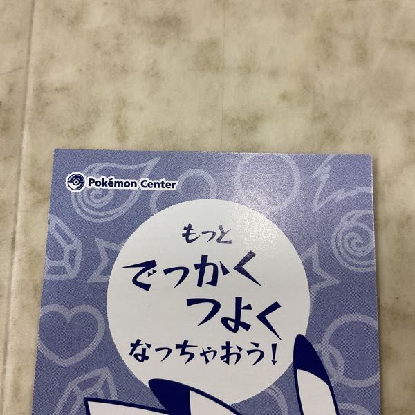 1円〜 ポケモン 強カワピカチュウメガキャンペーン 名刺カード メガリザードンY ポンチョの画像5