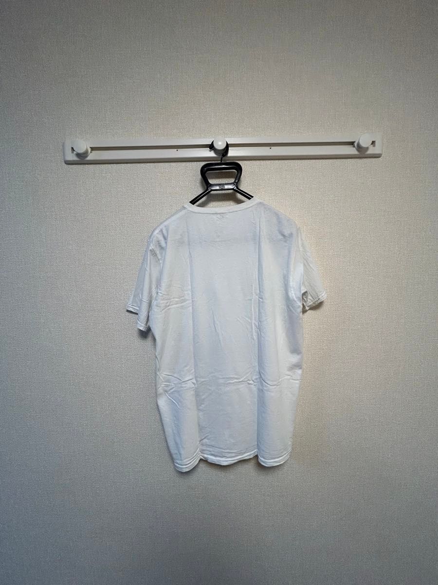 スティービー・ワンダー オマージュ半袖Tシャツ FRUIT OF THE LOOM size:L
