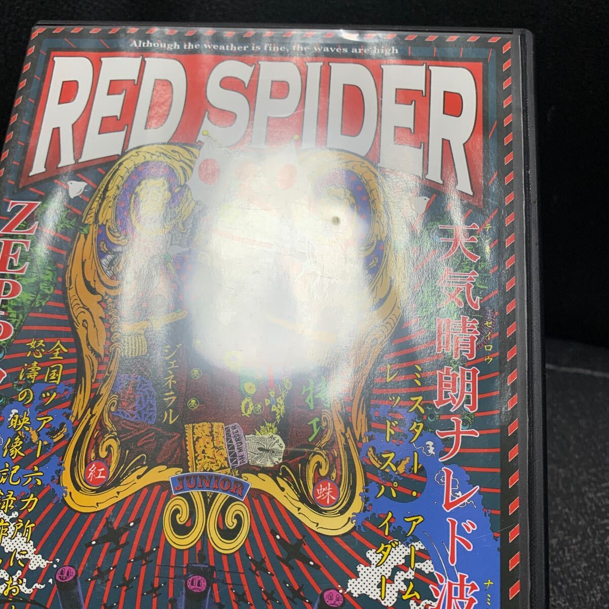 ...DVD RED SPIDER ZEPP TOUR 2012-... высота  ...-