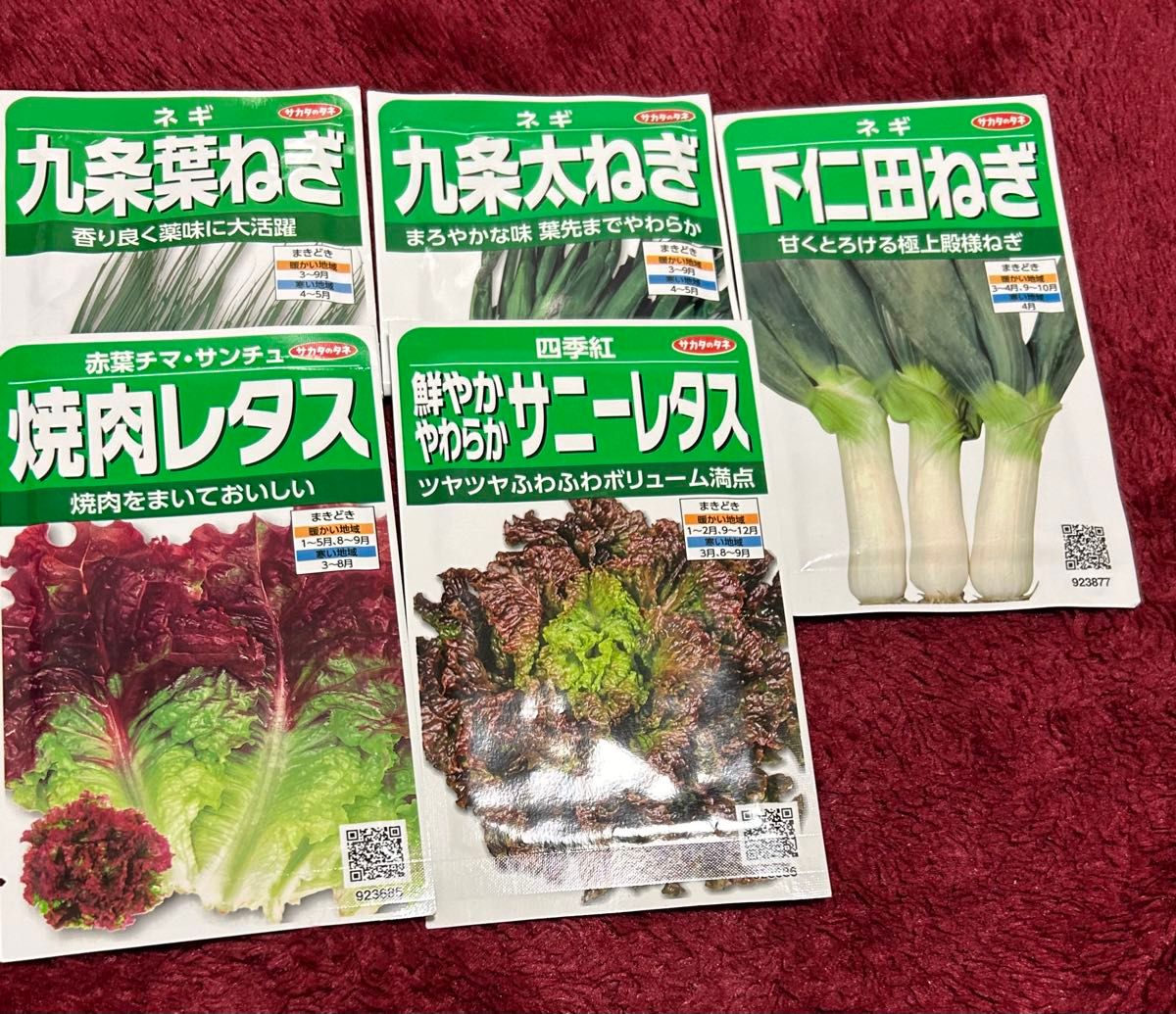 野菜の種　香味野菜の種　