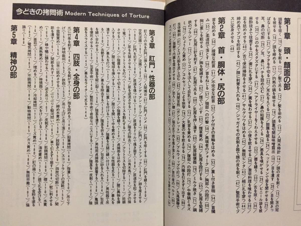 古本 帯なし 今どきの拷問術 増補版 Modern Techniques of Torture 相沢史生 データハウス クリックポスト発送等_画像2