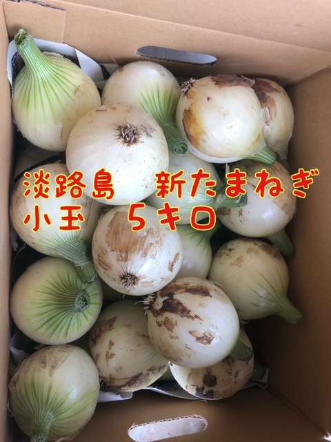 [5 kilo маленький шар ] Awaji Island новый лук репчатый . сырой tama лук-батун шар лук порей лук 