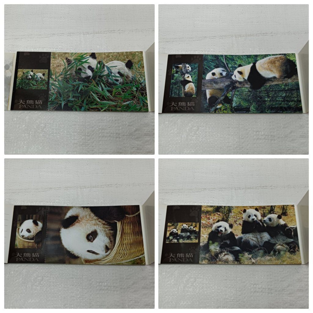 中国北京　大熊猫　パンダ　ポストカード一冊12枚　未使用品_画像4
