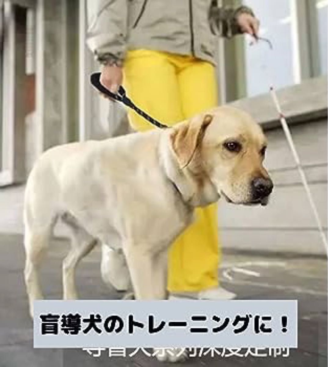 ショートリード 犬 散歩 訓練 大型犬 中型犬 リフレクター効果  リード 小型犬リード 中型犬リード 犬リード 大型犬リード