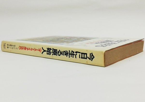 ●コリン・シンプソン著、竹下美保子訳／『今日に生きる原始人』サイマル出版会発行・初版・1972年の画像2