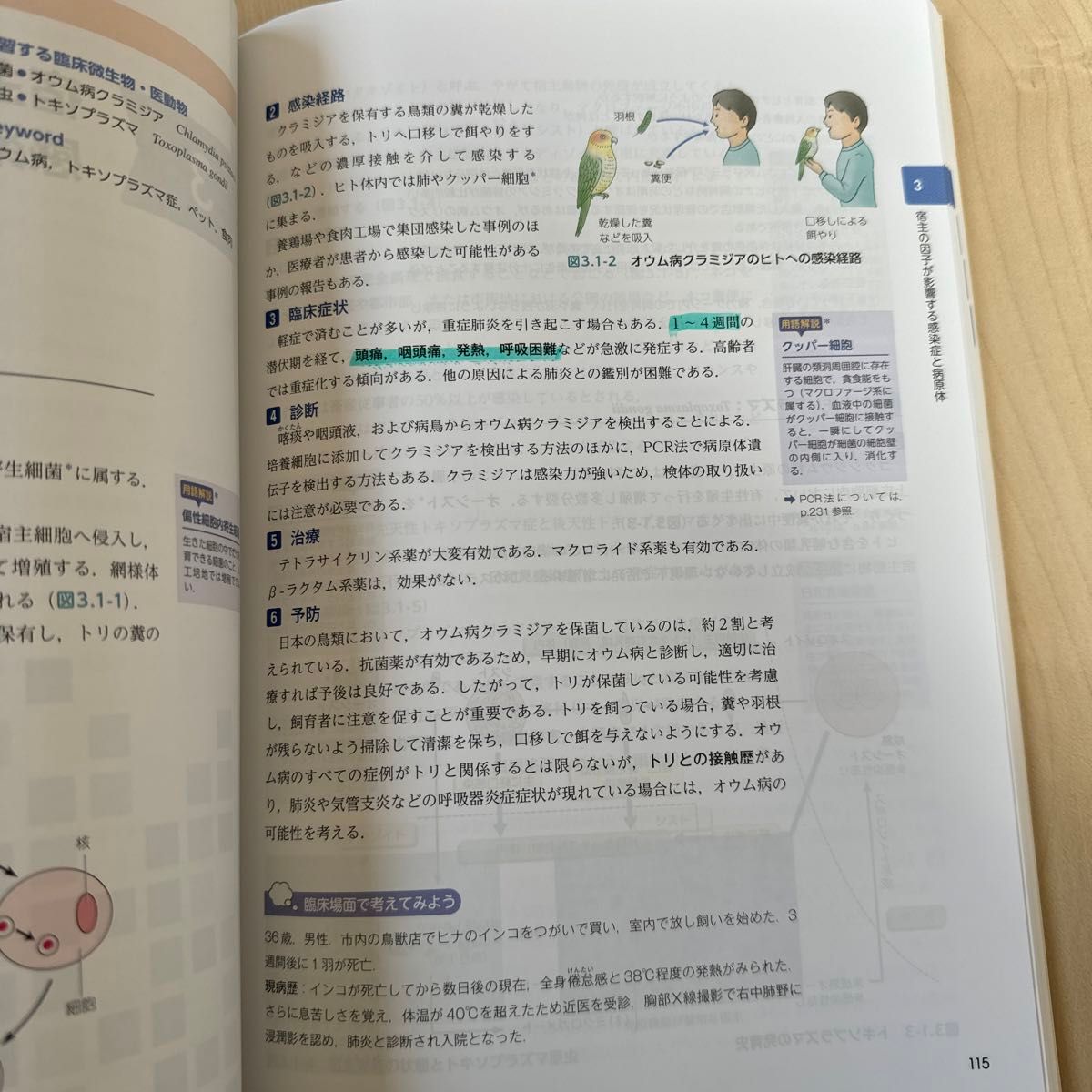 臨床微生物・医動物 （ナーシング・グラフィカ　疾病の成り立ちと回復の促進　３） （第４版） 矢野久子／編　安田陽子／編