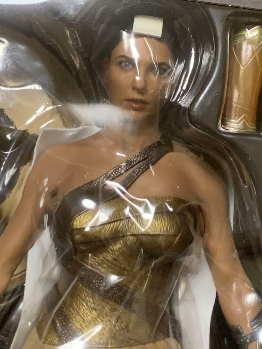 絶版品 ホットトイズ 1/6 ワンダーウーマン トレーニング 絶版品 ホットトイズ 1/6 ワンダーウーマン トレーニング