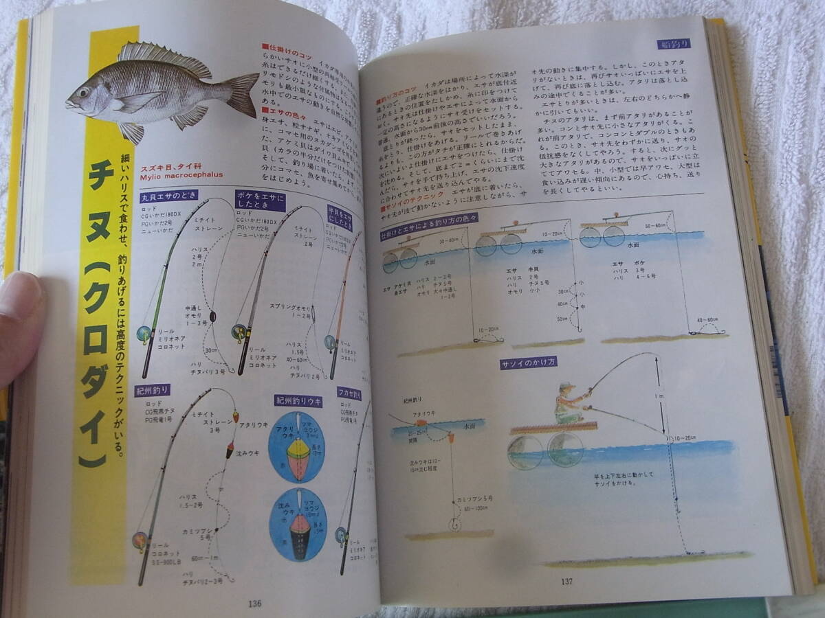 b5771 реальный битва . рыбалка No.9 Daiwa море река .. полное собрание сочинений 