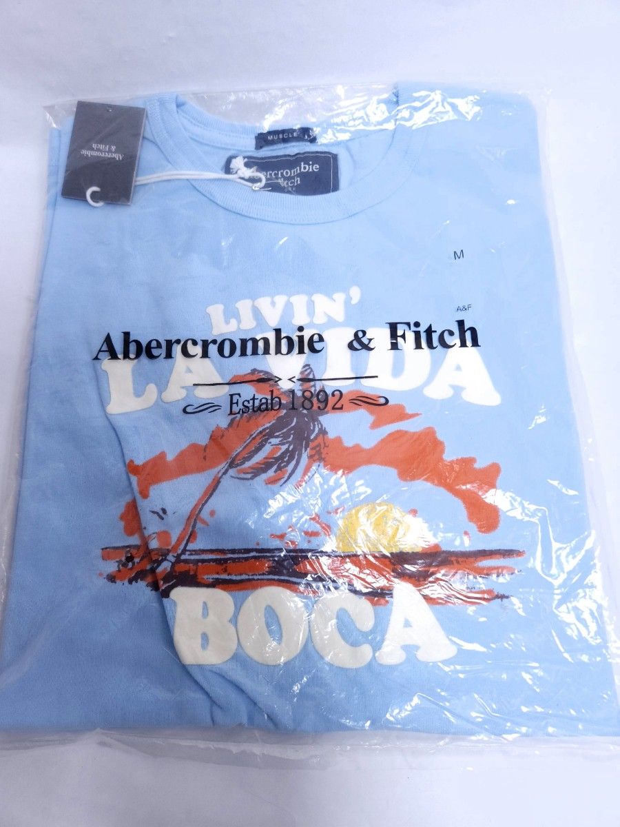 未使用品 タグ付き アバクロ アバクロンビー&フィッチ Tシャツ メンズ M Abercrombie & Fitch 