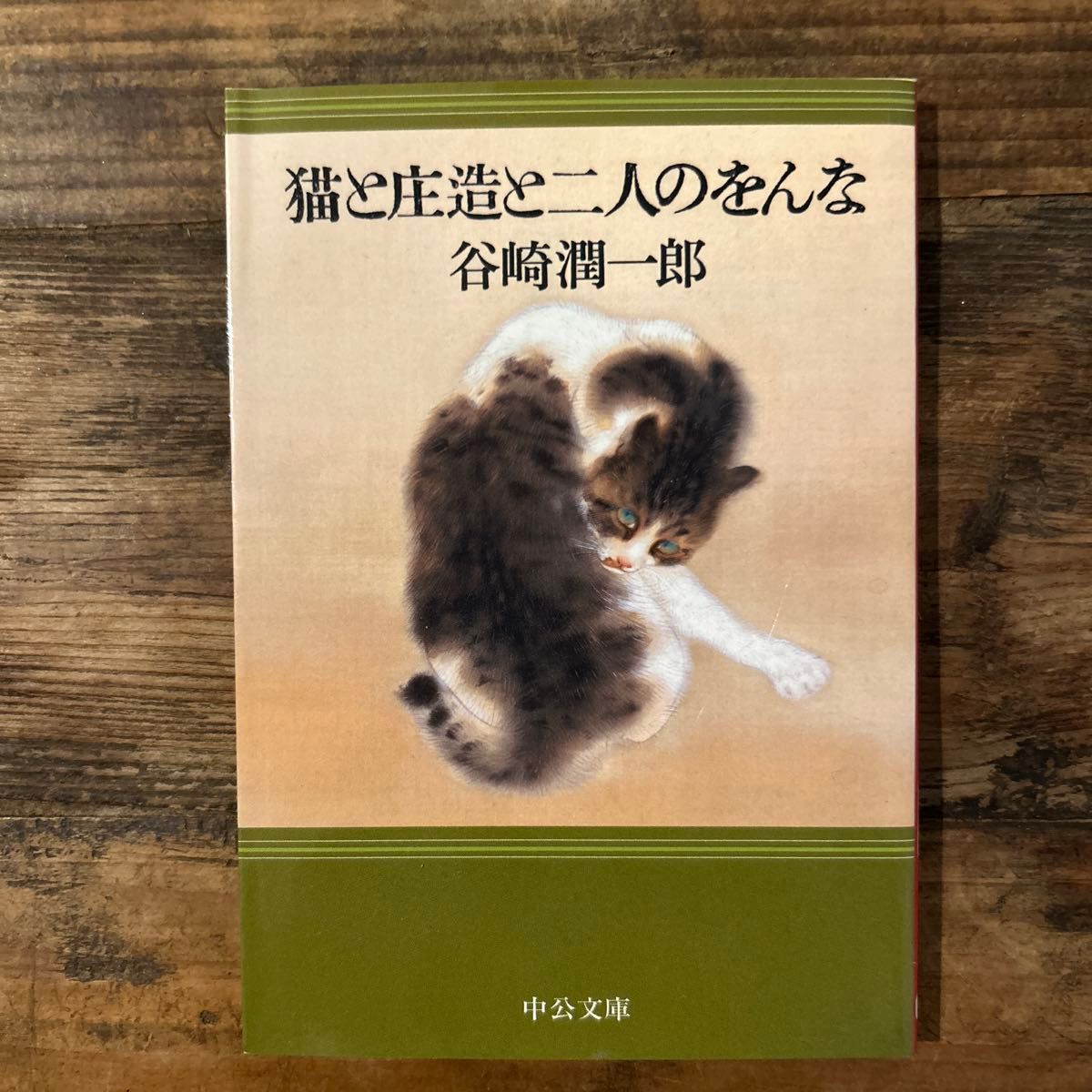 猫と庄造と二人のをんな （中公文庫　た３０－５５） 谷崎潤一郎／著