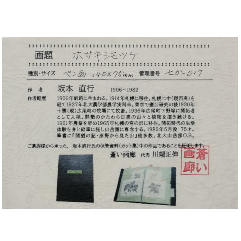 * Sakamoto direct line *[ ho saki spiraea japonica ] pen . -inch size unused![ genuine work guarantee ]