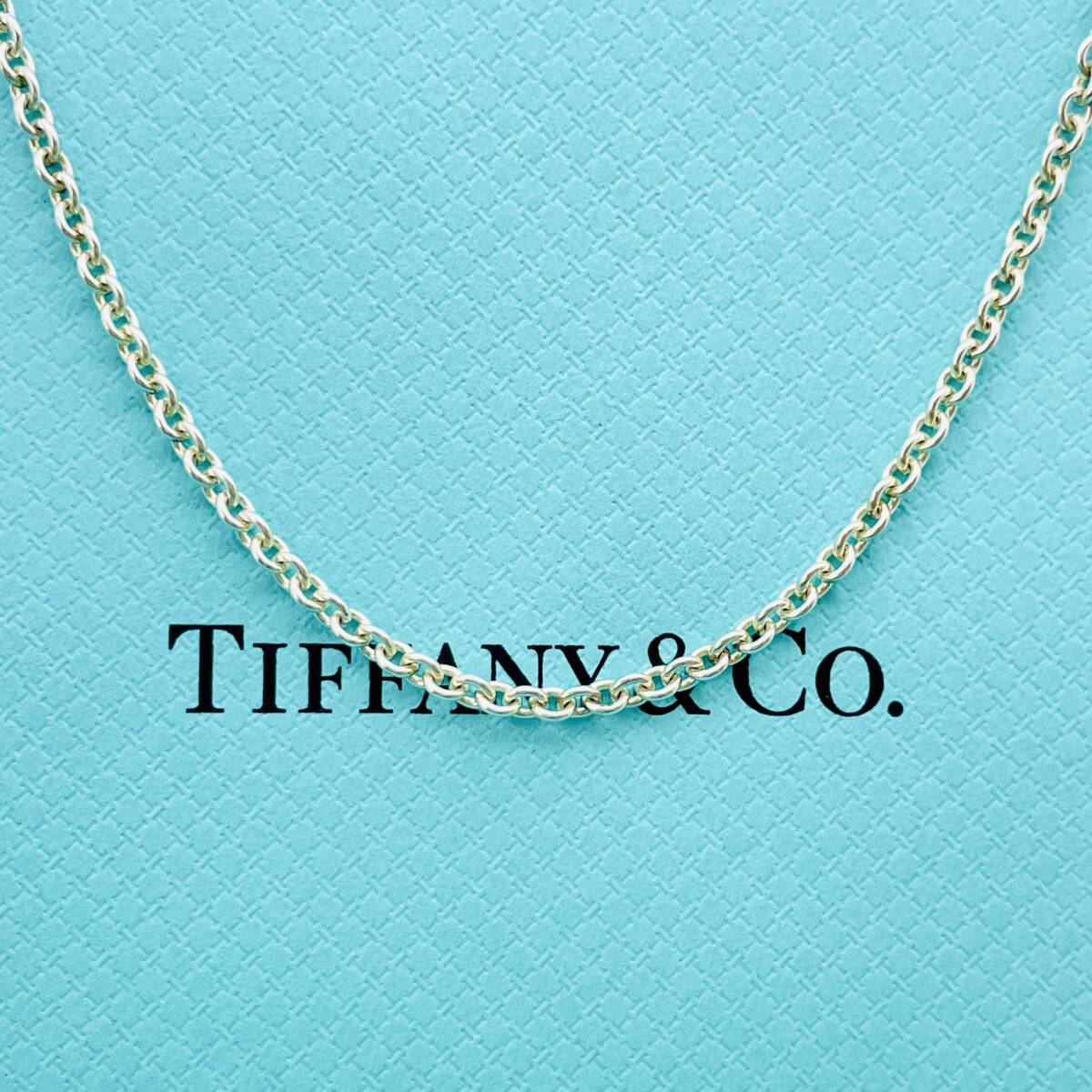 美品 40cm 太め ティファニー ラージ チェーン ネックレス シルバー TIFFANY&Co. 幅2.7mm★824の画像1