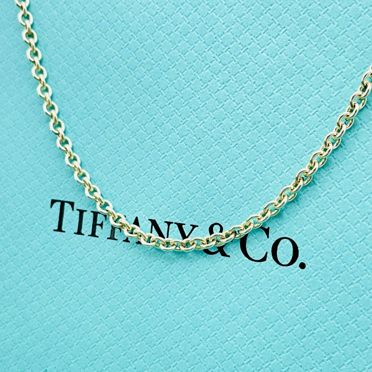 美品 40cm 太め ティファニー ラージ チェーン ネックレス シルバー TIFFANY&Co. 幅2.7mm★824の画像2