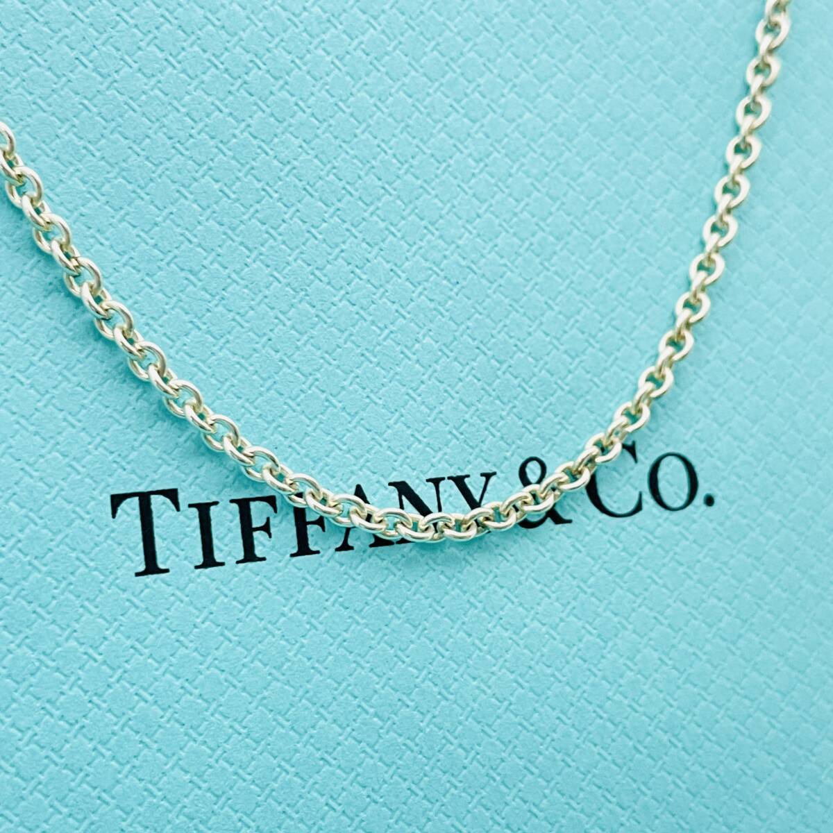 美品 40cm 太め ティファニー ラージ チェーン ネックレス シルバー TIFFANY&Co. 幅2.7mm★824の画像3