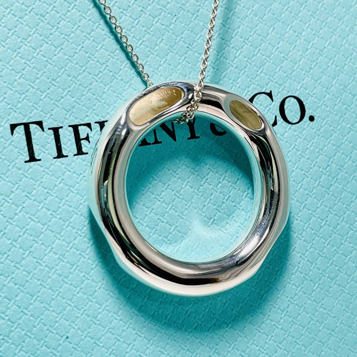 希少 ティファニー フランクゲーリー サークル ネックレス シルバー TIFFANY&Co.★890