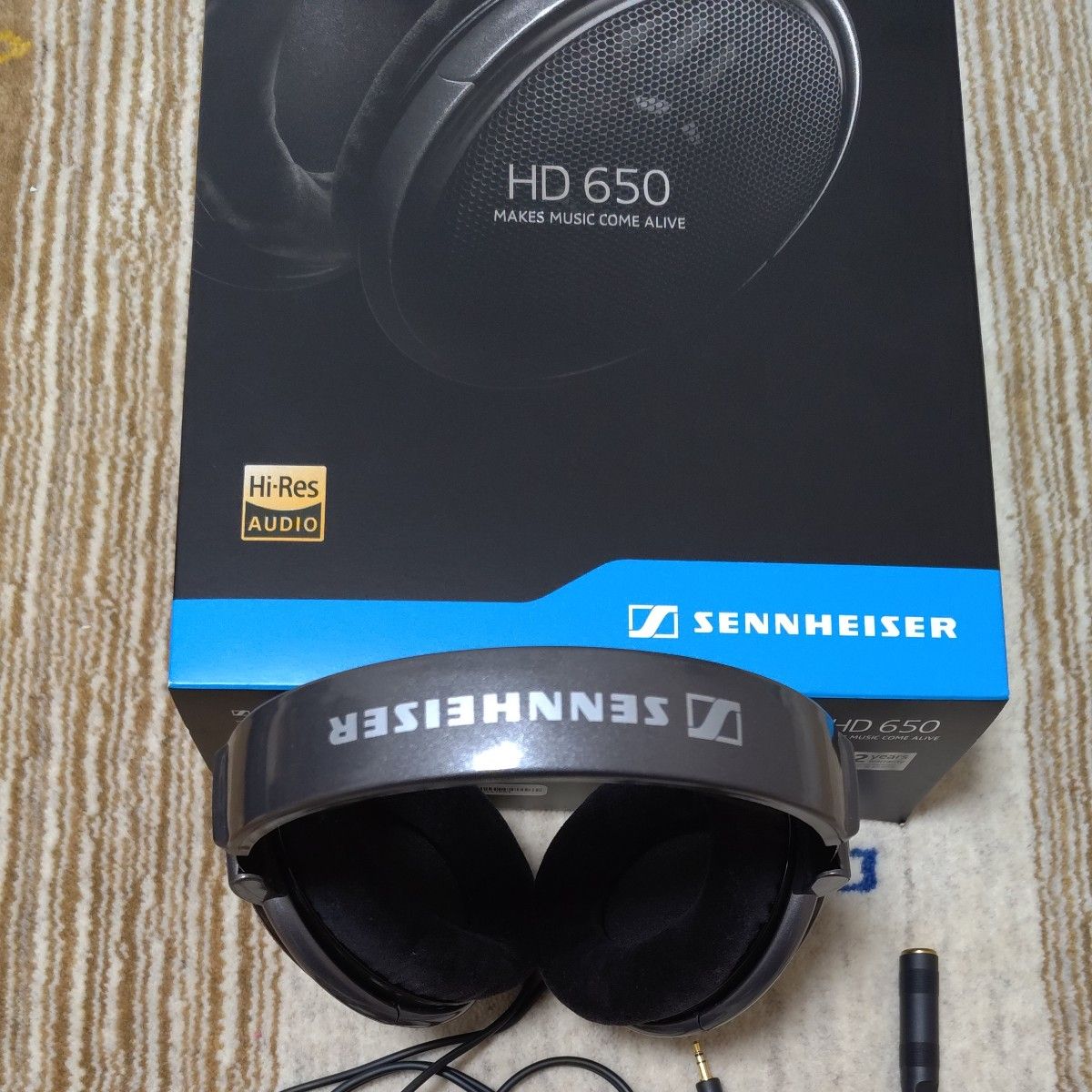 SENNHEISER HDV820  HD650 CH650S セット