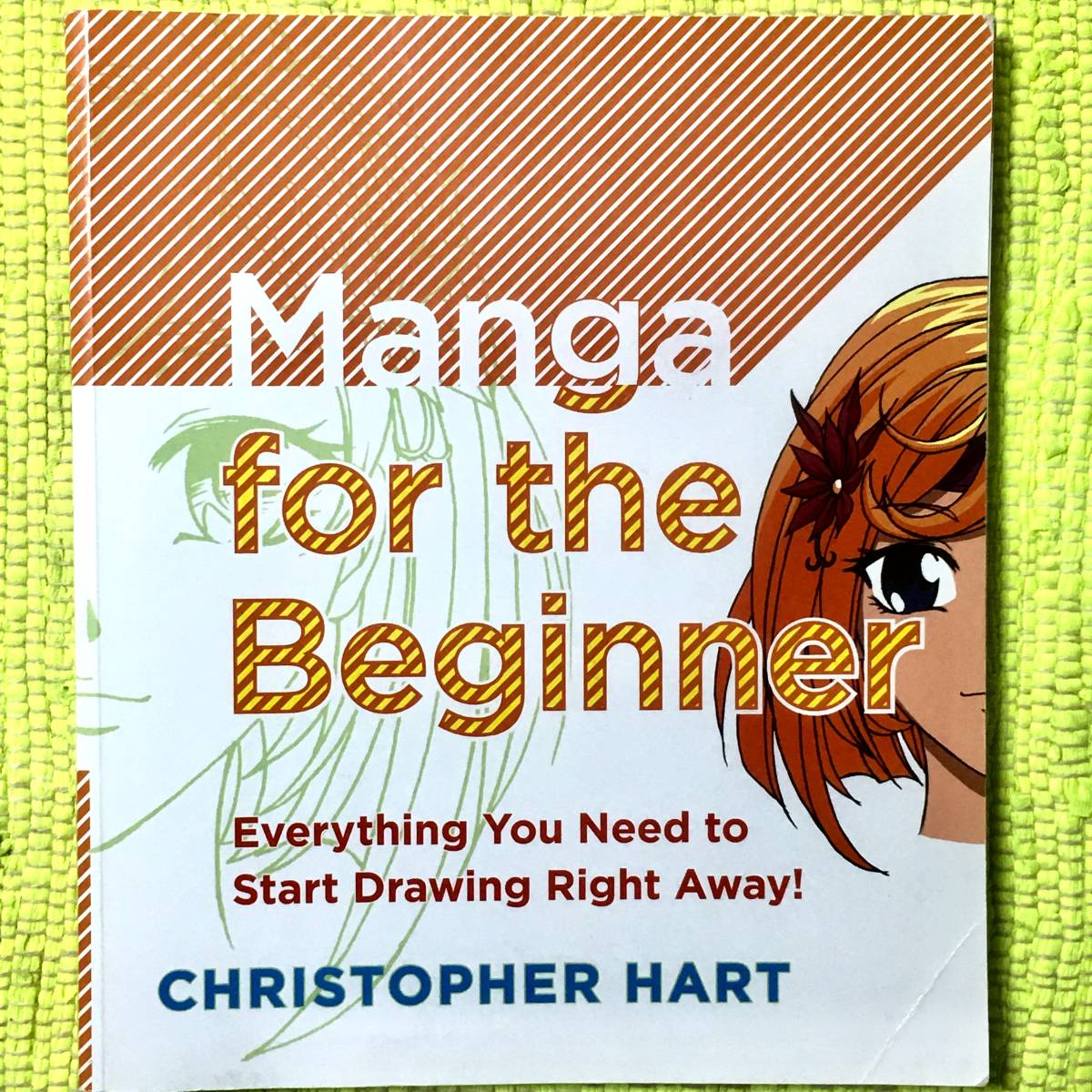 洋書アメリカ製マンガの書き方マガジン！Manga for the Beginner♪