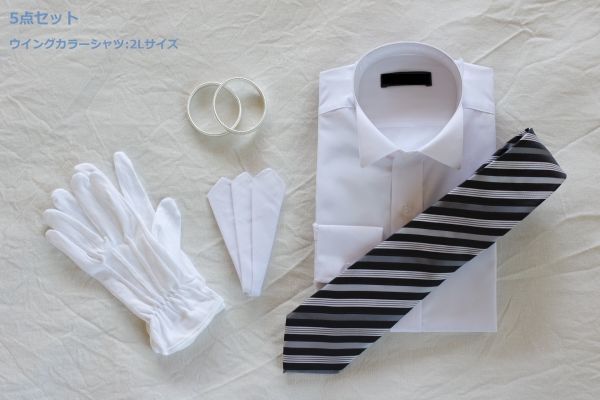 * new goods prompt decision * wedding costume new .*. parent for small articles 5 point full set Wing color shirt size 2L* tailcoat *mo- person g*