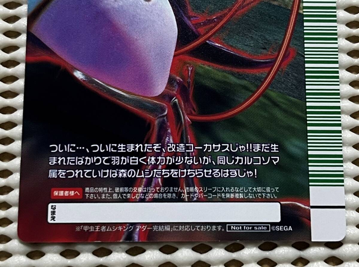 ムシキング アダー完結編 プロトタイプ アルファ 改造コーカサス ムシキング アダー完結編 プロトタイプ アルファ 改造コーカサス