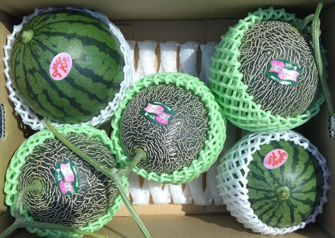 Kodama Suiki 2 шарики + сладость ☆ Higo Green Melon 3 шарики набор [доставка] 1 шарик 1 кг маленького и маленького