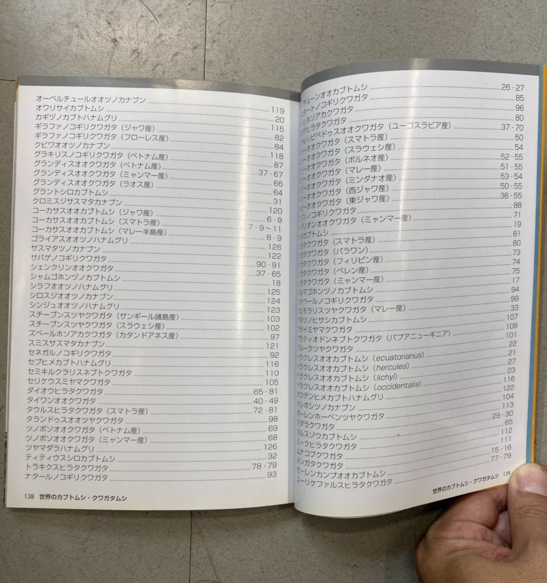 新品 世界のカブトムシ クワガタムシ 書物 1冊 (検索 虫 カブト クワガタ カナブン 昆虫 幼虫 図鑑 雑誌 昆虫雑誌 ヘラクレス コクワ )の画像5