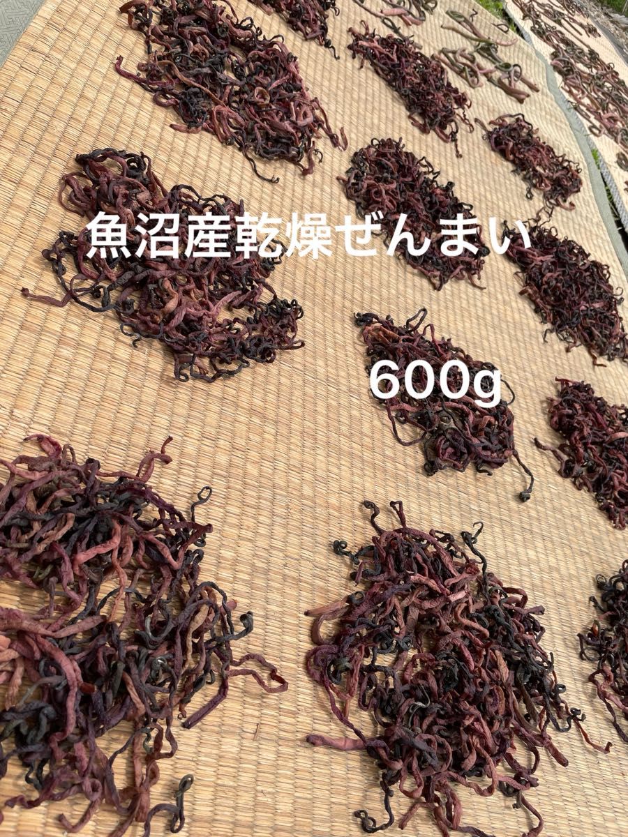 魚沼産乾燥ぜんまい600g 山菜