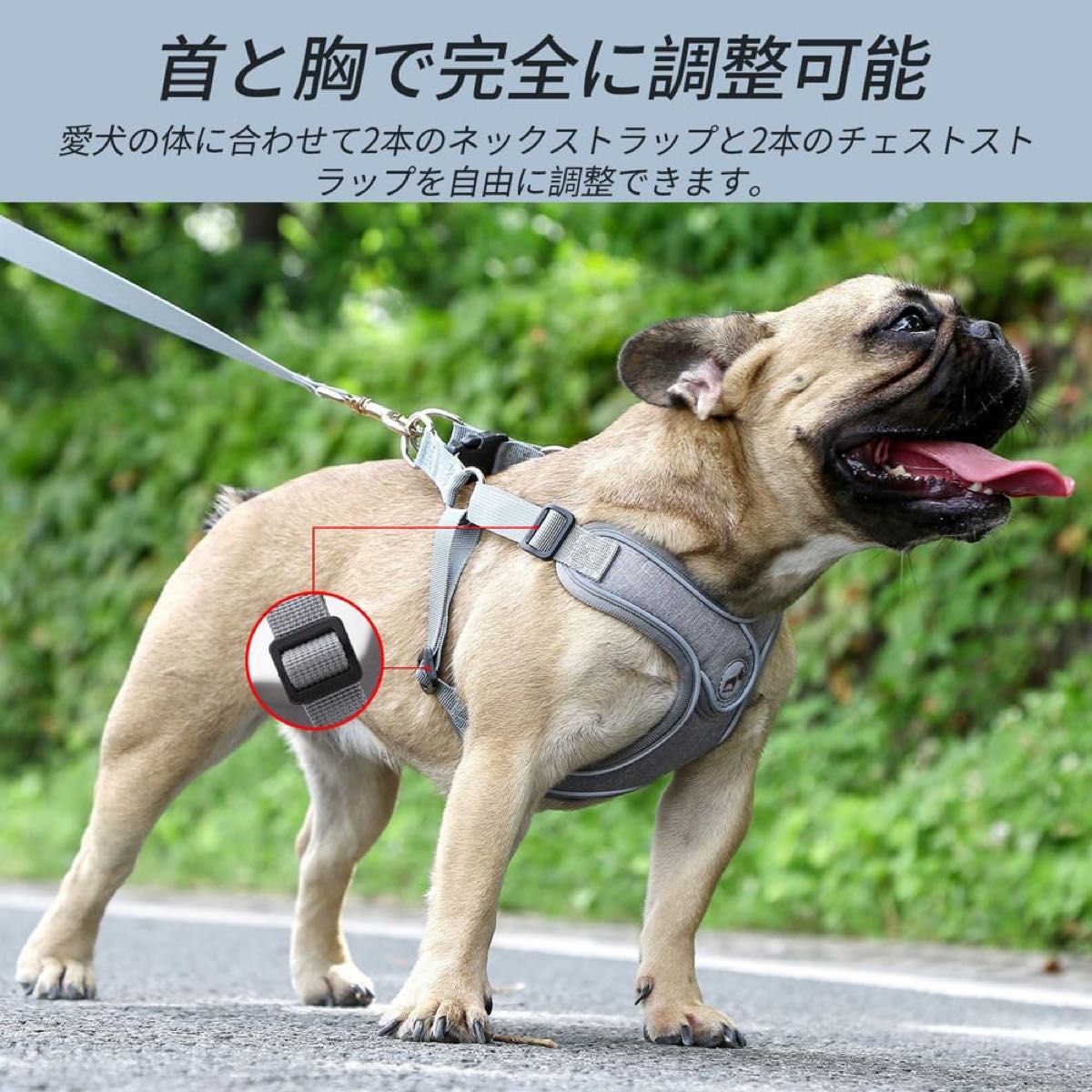 ☆1点限定☆犬用 ハーネス XS リードセット 調節可能 反射 通気性 未使用品