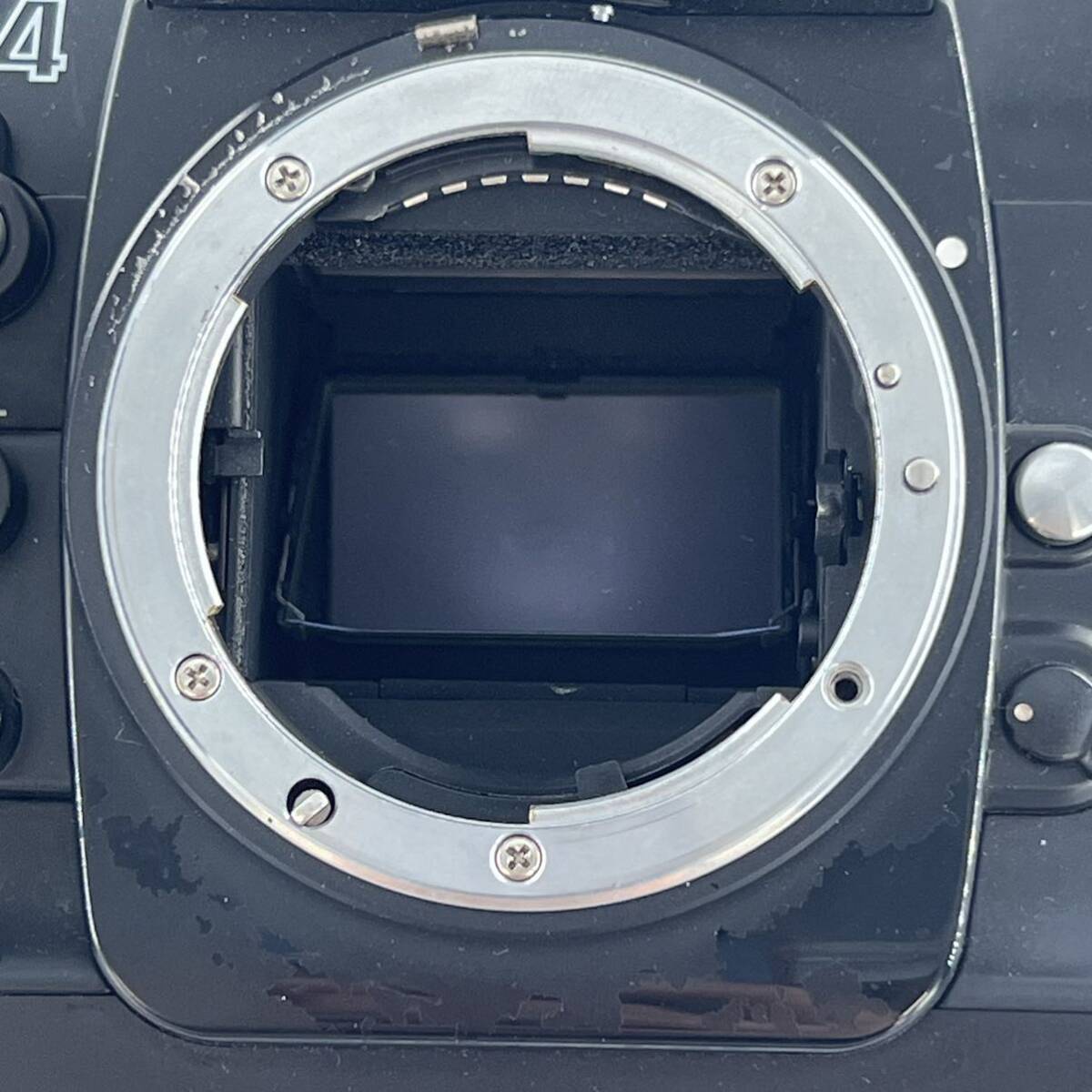 G4v Nikon F4 ニコン ボディ フィルムカメラ デジタル一眼レフ AE-Lの画像3