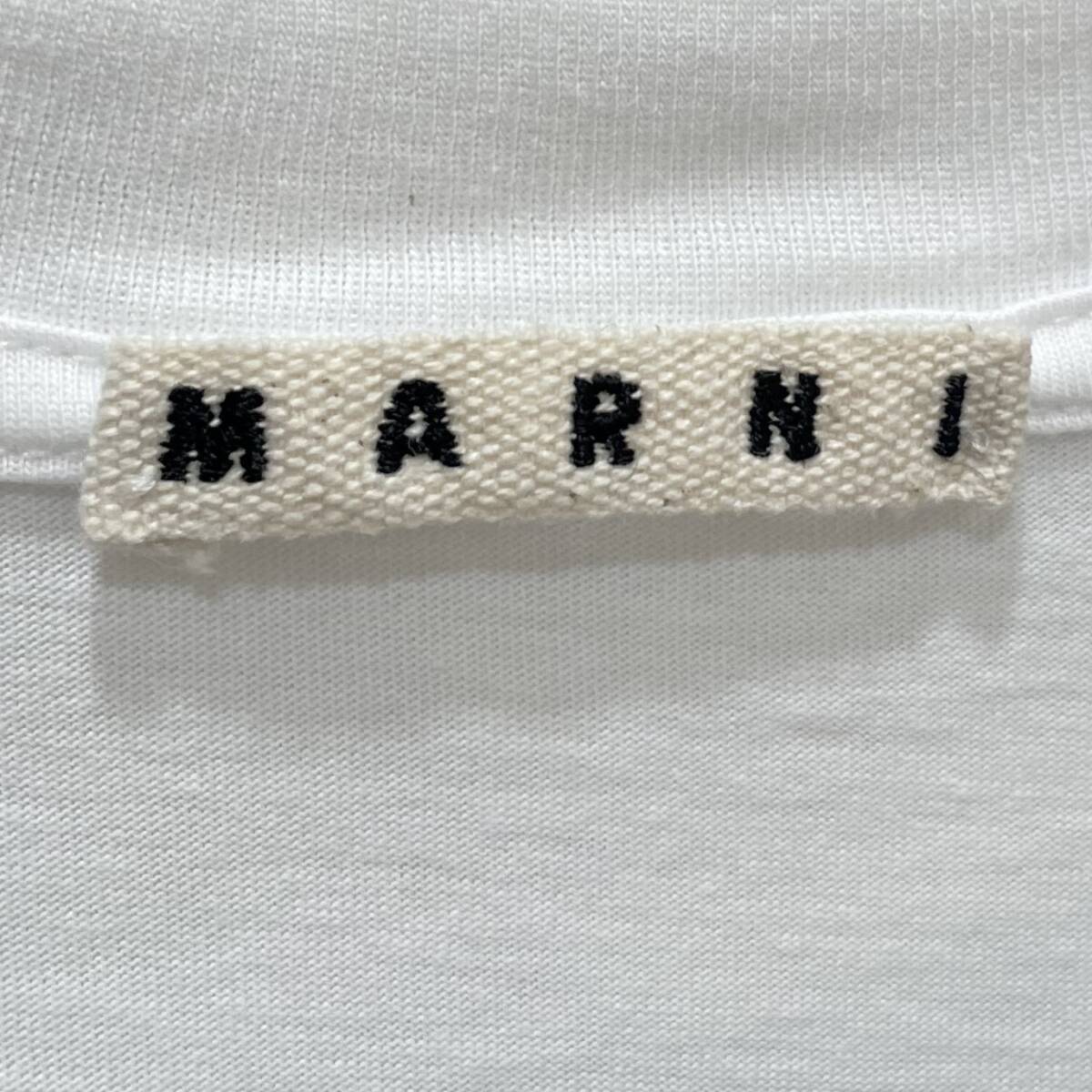 MARNI( Marni ) полоса Logo T размер :46 / 8068000099389