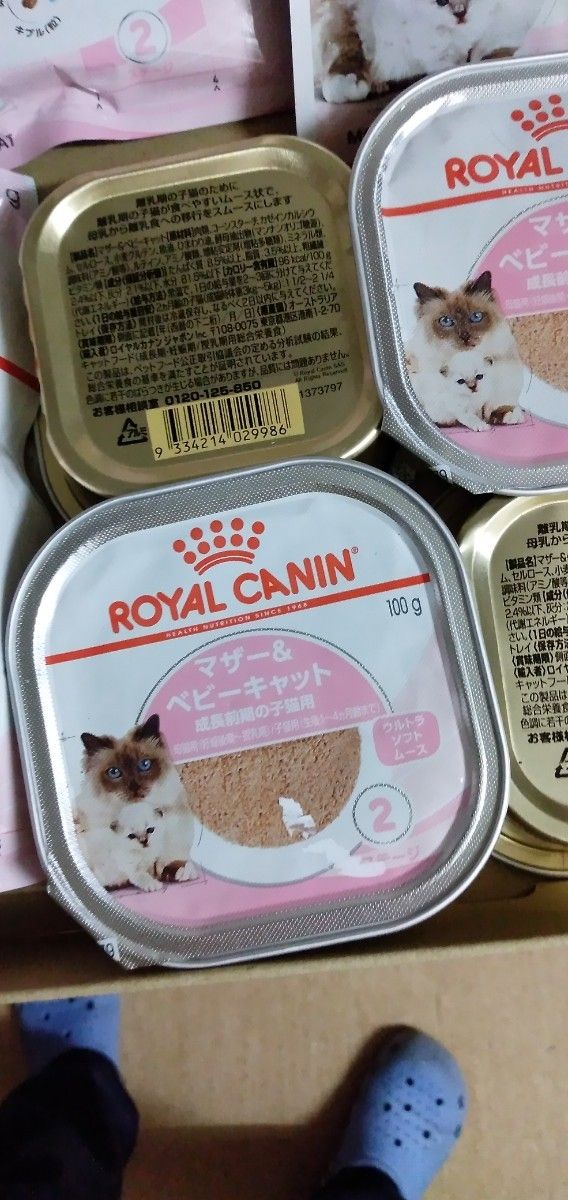 ロイヤルカナン キトン ベビーキャット