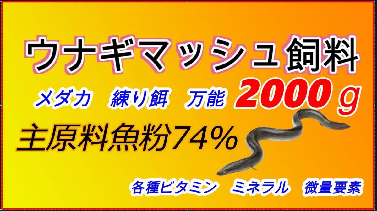 送料無料レターパック　ウナギ　成魚用　養鰻場　魚粉７４％　２キロ　エサ 餌 魚粉74%　上級_画像1