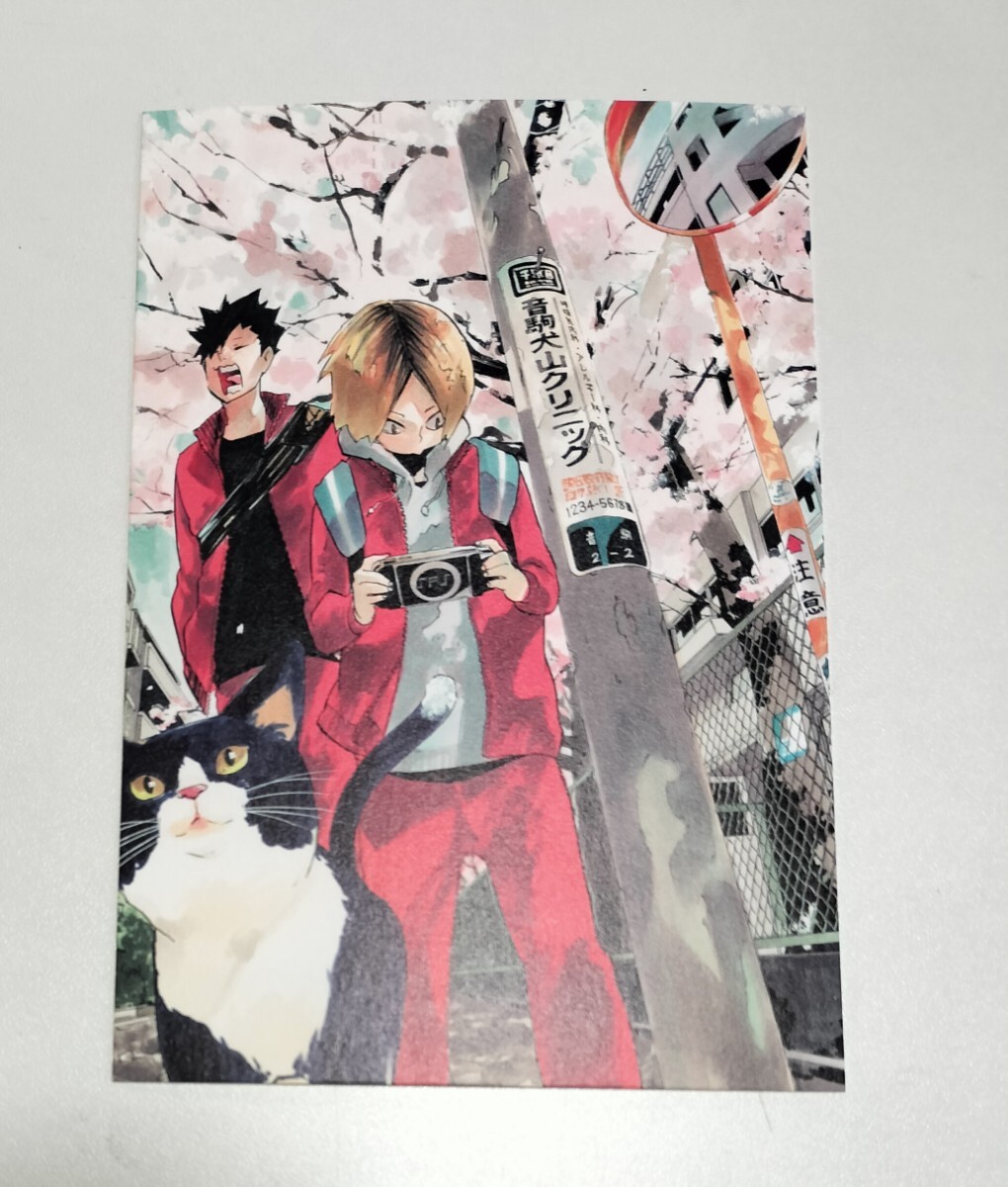 ハイキュー ハイキュー展 ポストカード 音駒 黒尾鉄朗 黒尾 孤爪 ハイキュー ハイキュー展 ポストカード 音駒 黒尾鉄朗 黒尾 孤爪