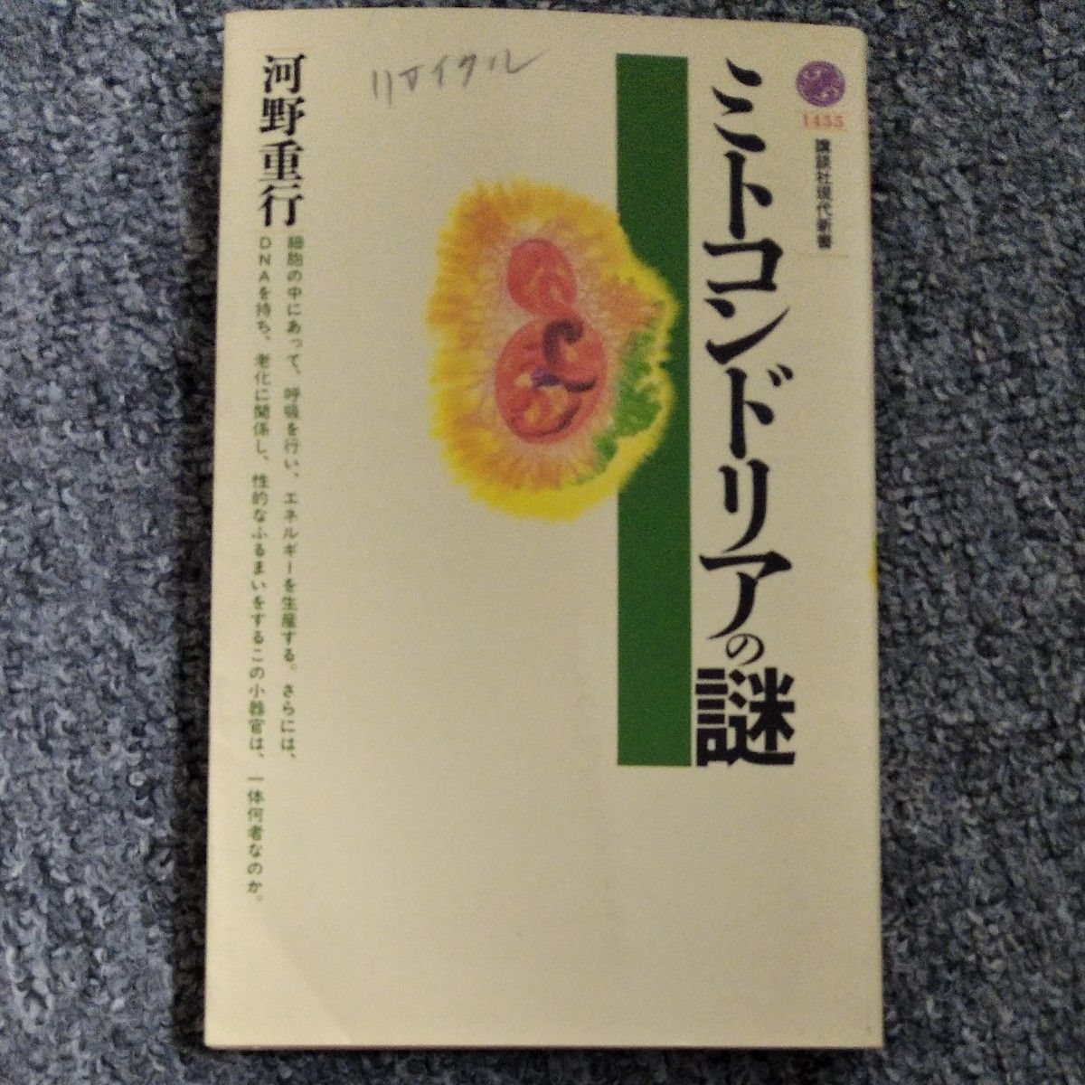 ミトコンドリアの謎 （講談社現代新書　１４５５） 河野重行／著