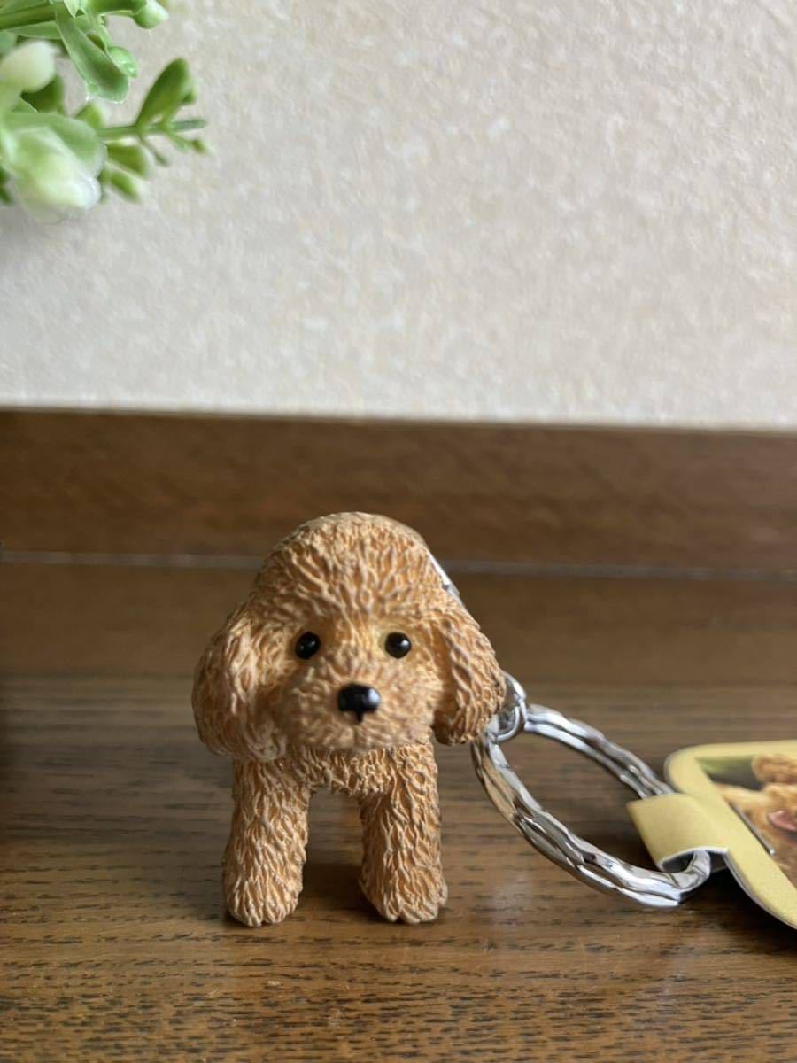 かわいい犬のフィギュアキーホルダー♪　トイプードル　トイプー　アプリコット　キーリング_画像4