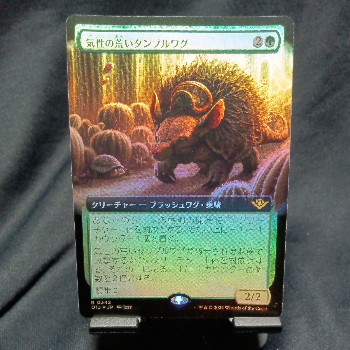 ☆MTG　気性の荒いタンブルワグ　foil・OTJ_画像1