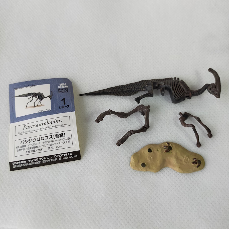 チョコラザウルス6体 破損品 ブロントテリウム リオプレウロドン トリケラトプス（頭骨）イグアノドン パラサウロロフス（骨格）_画像10