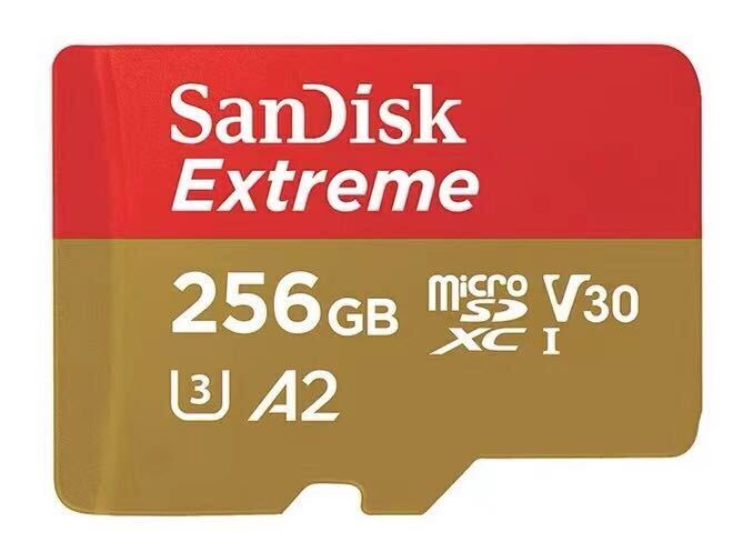 256GB Sandisk golden マイクロSD カード の画像1