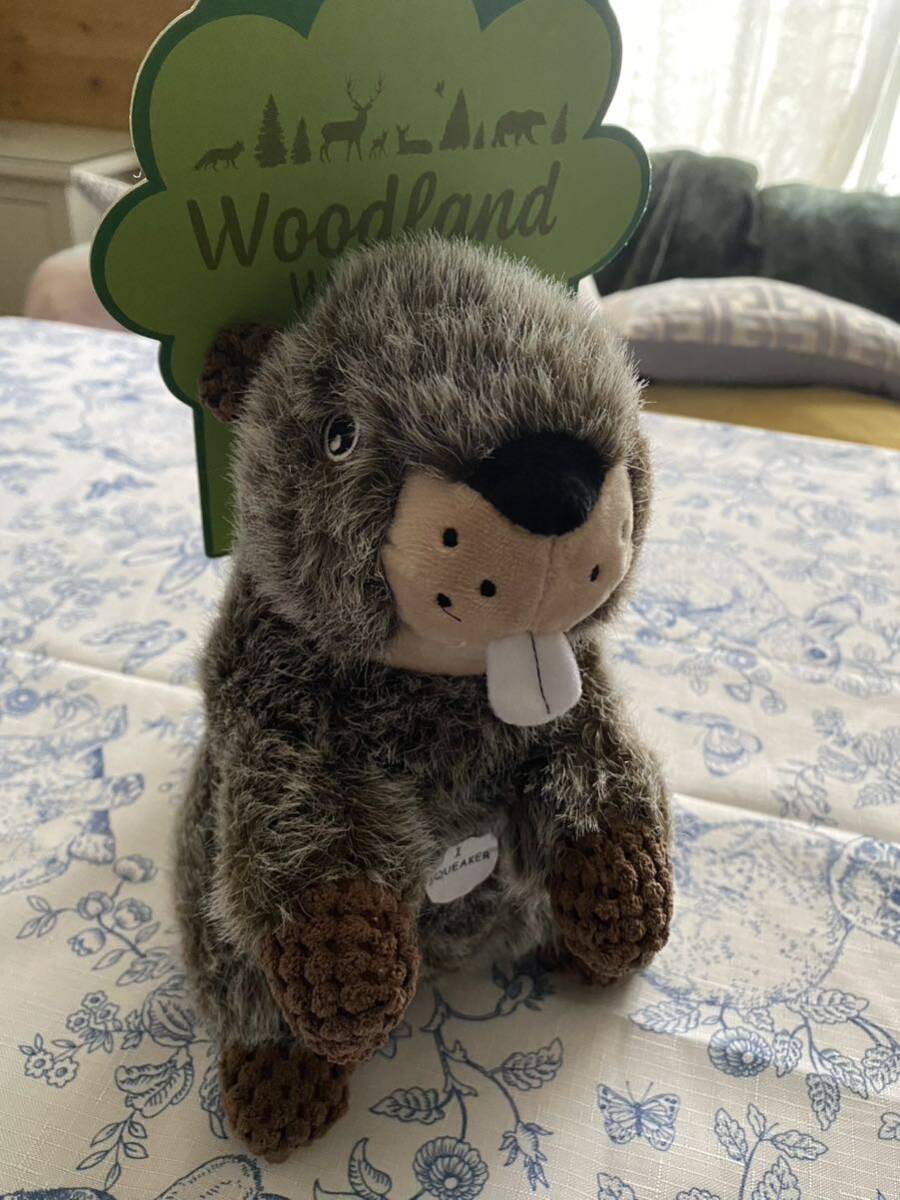 woodland wonder* домашнее животное игрушка собака для игрушка * мягкая игрушка / бобер 
