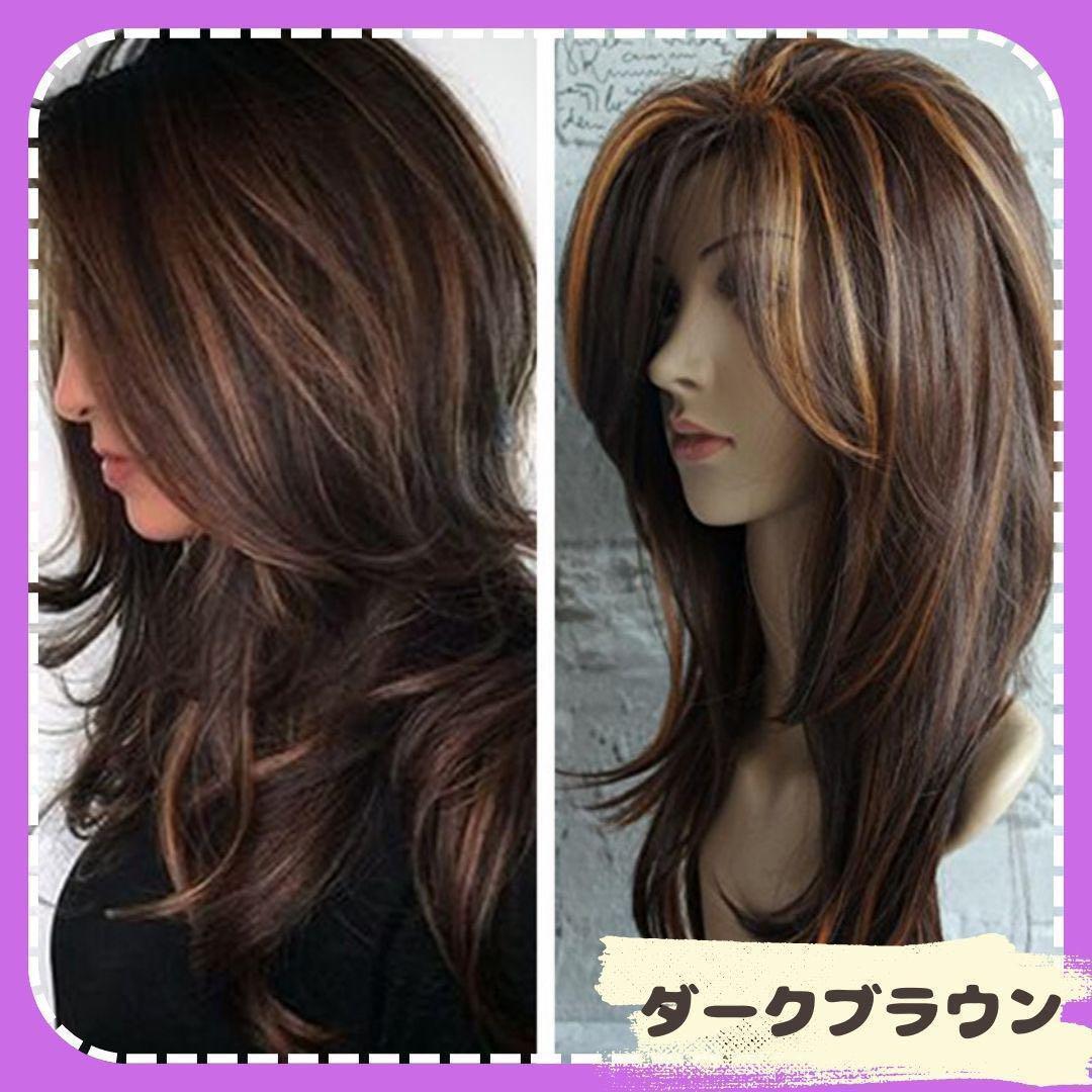 ダークブラウン】 ウィッグ ロング メッシュ レイヤード ダークブラウン】 ウィッグ ロング メッシュ レイヤード