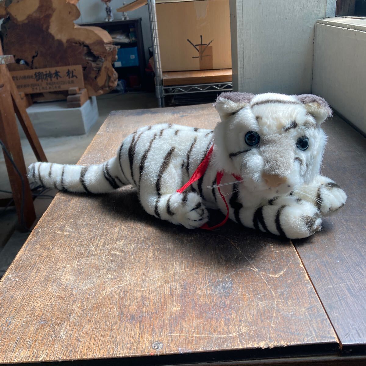  настоящий животное SEVE THE ANIMALS SA5560 WHITE TIGER белый Tiger младенец мягкая игрушка общая длина примерно 50cm коллекция 
