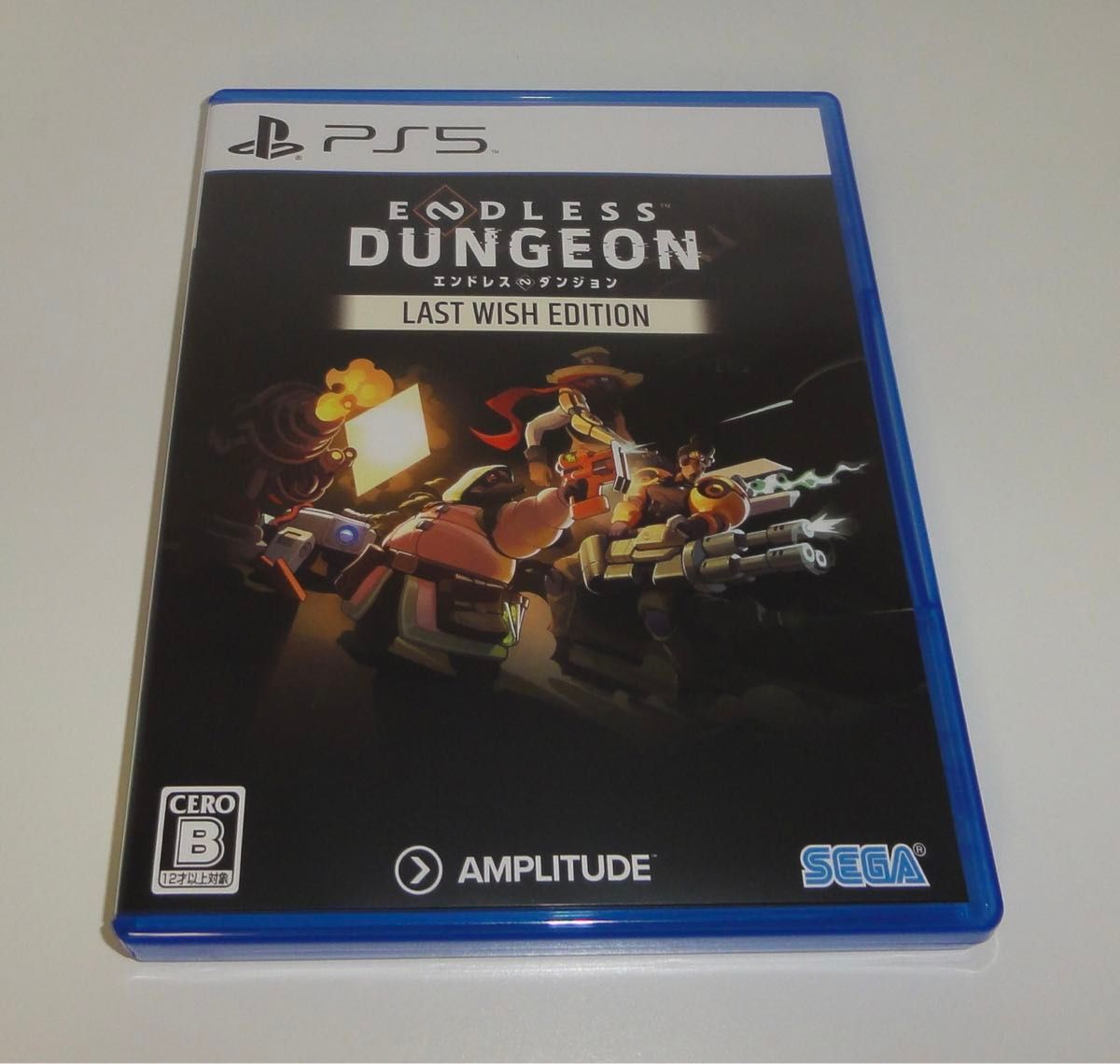 PS5 エンドレスダンジョン ENDLESS DUNGEON