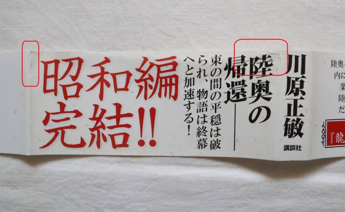 修羅の刻 16,17,18,19巻 川原正敏著 送料無料の画像10