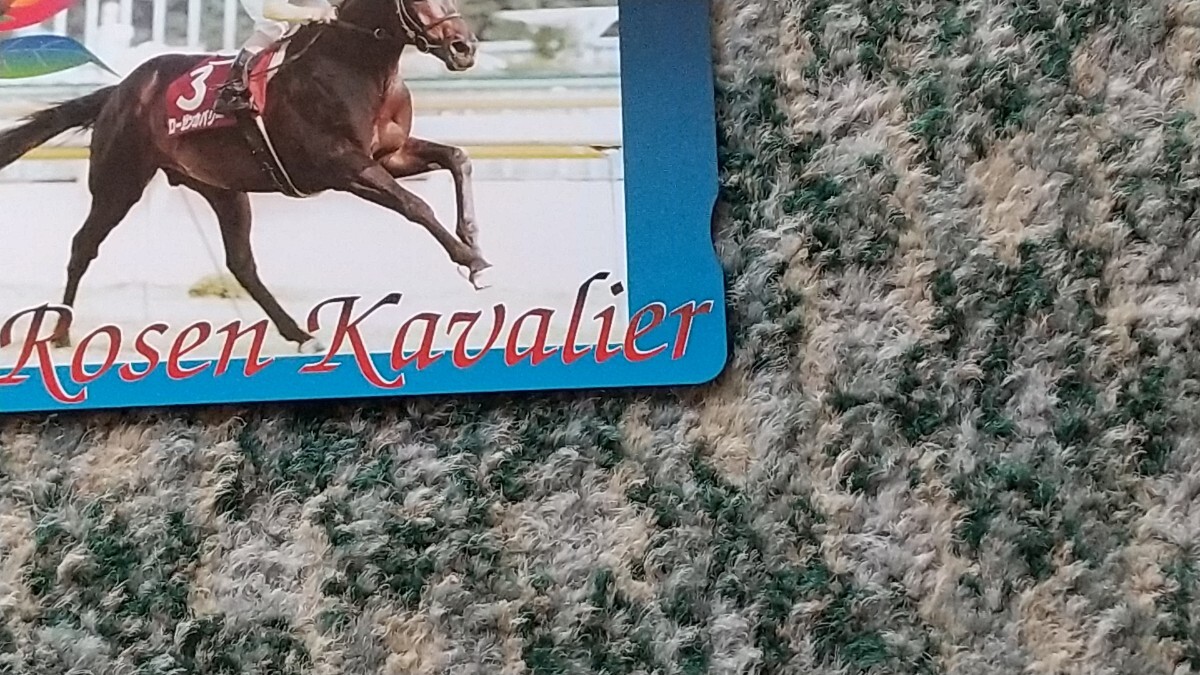 競馬 ローゼンカバリー Rosen Kavalier 第１１３回 目黒記念 GⅡ 1999.6.12 ＱＵＯカード クオカード ５００ 【送料無料】の画像8