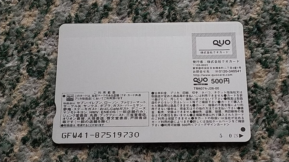  Yamamoto Sayaka Yamamoto Sayaka ENTAMEentameQUO карта QUO card 500 [ бесплатная доставка ]