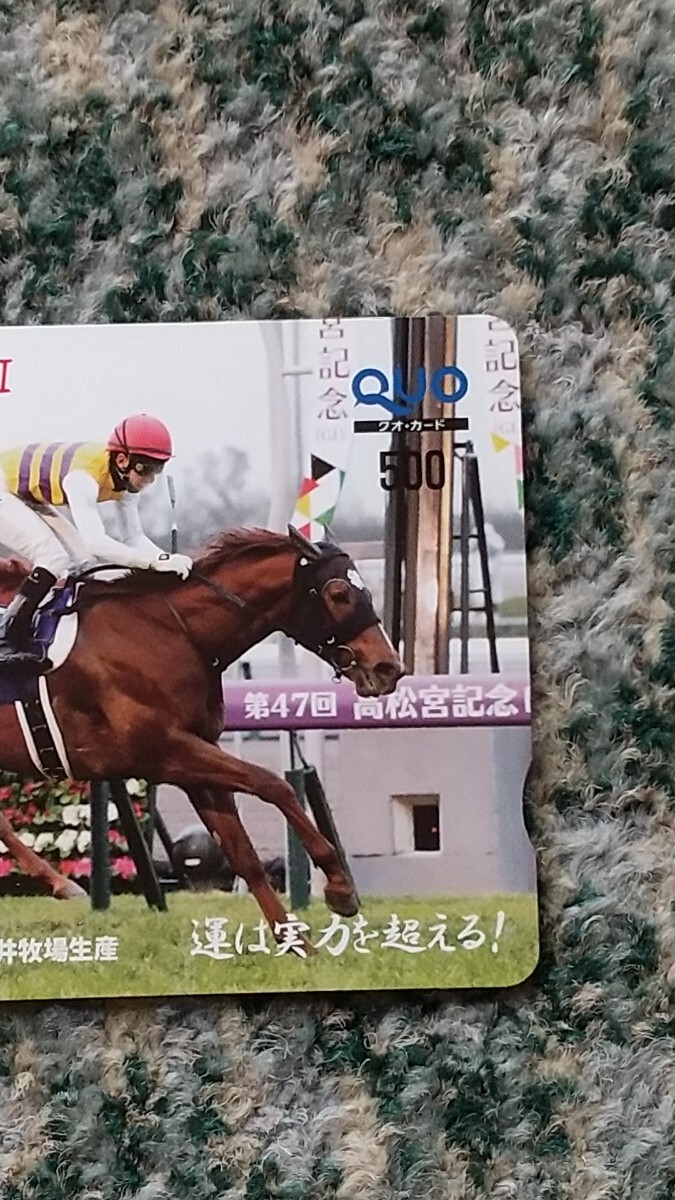 競馬　セイウンコウセイ　第47回 高松宮記念 GⅠ 平成29年3月26日 中京競馬場　ＱＵＯカード　クオカード　５００　【送料無料】_画像4