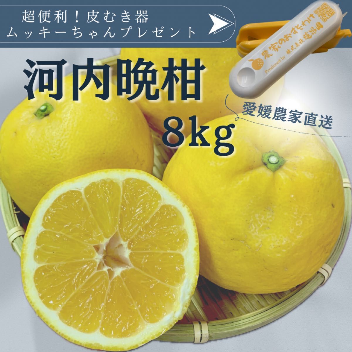 河内晩柑　家庭用8kg愛媛県産　訳あり　送料無料柑橘　みかん和製グレープフルーツ
